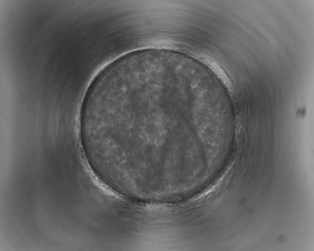 X0000097600944200803211656