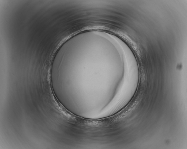X0000097600945200803211656