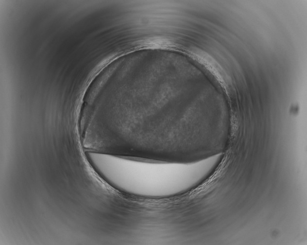 X0000097600946200803211656