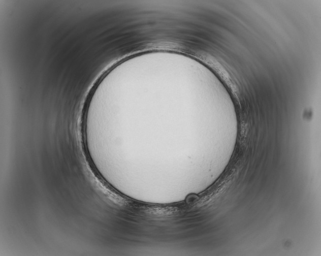 X0000097600947200803211656