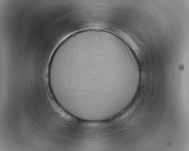 X0000097600948200803211656