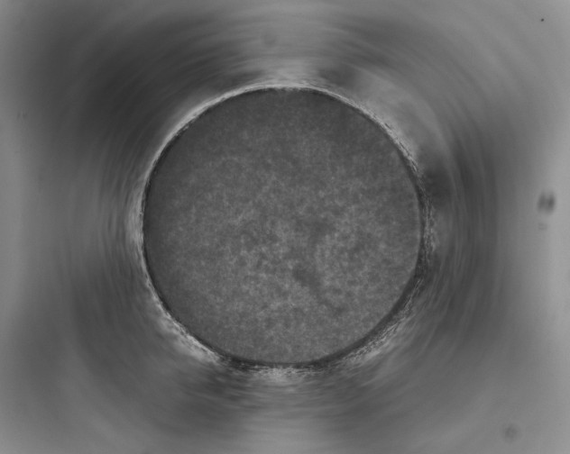 X0000097600950200803211656