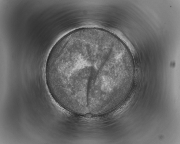 X0000097600951200803211656