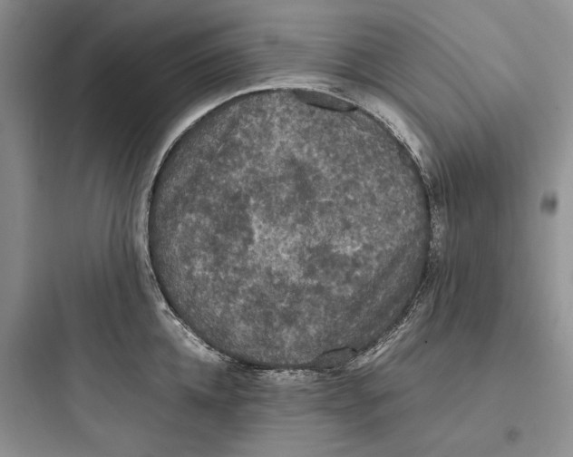 X0000097600952200803211656