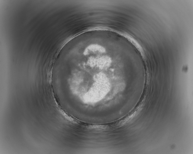 X0000097600953200803211657