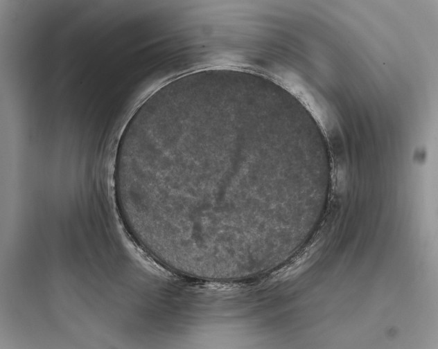 X0000097600954200803211657