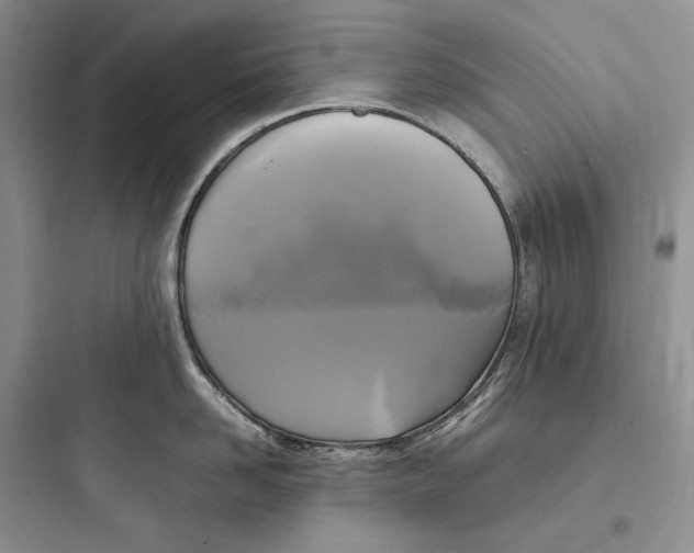 X0000097600958200803211657