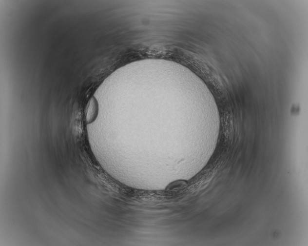 X0000097600962200803211656