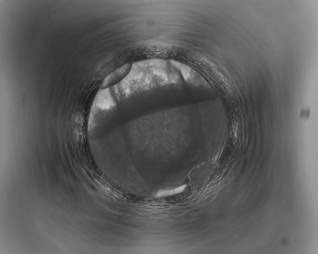 X0000097600964200803211656