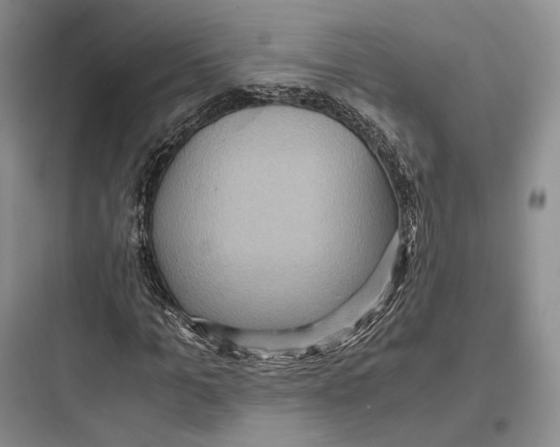 X0000097600965200803211656
