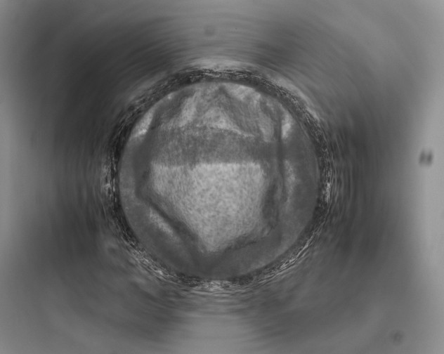 X0000097600966200803211656