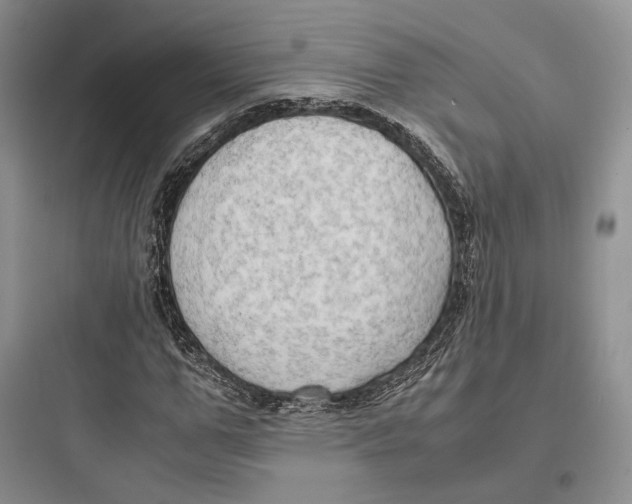 X0000097600967200803211656