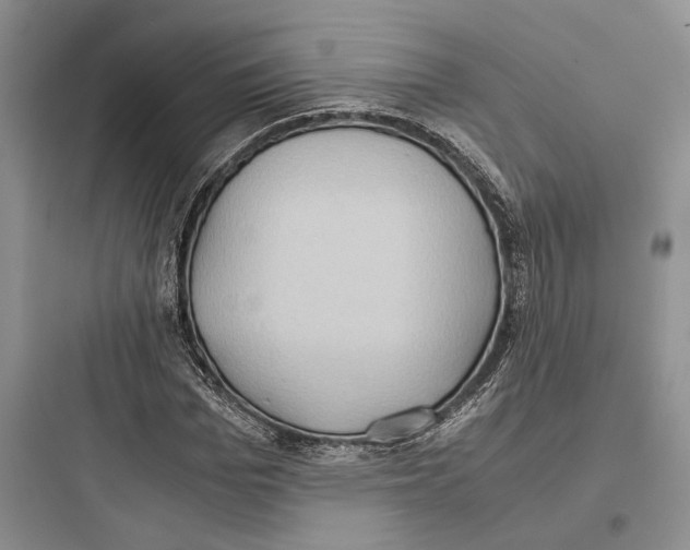 X0000097600969200803211656