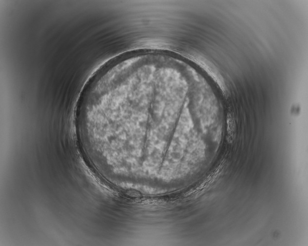 X0000097600972200803211656