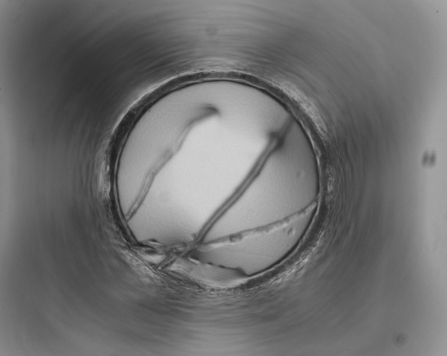 X0000097600973200803211656