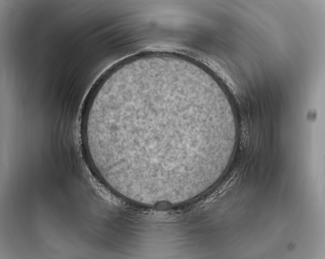 X0000097600976200803211656