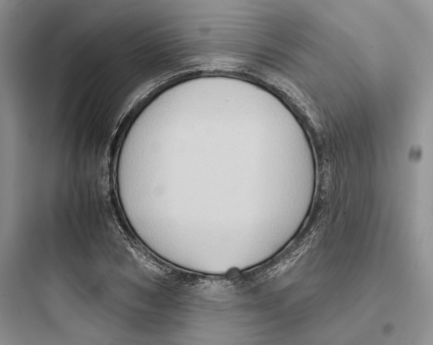 X0000097600978200803211656