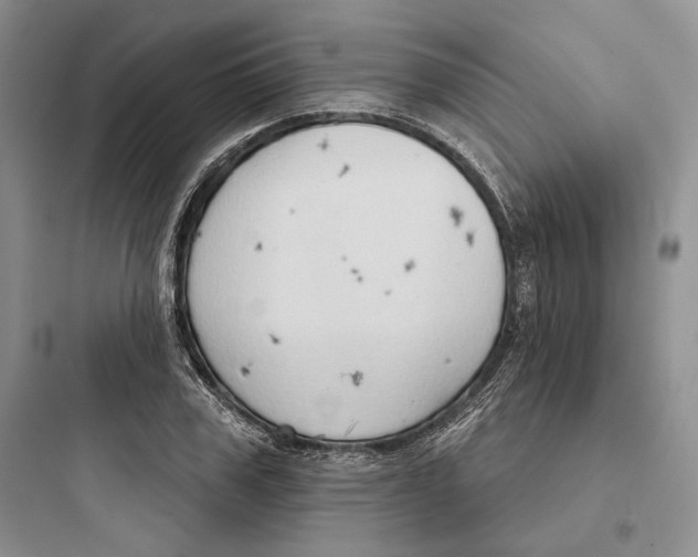 X0000097600979200803211656