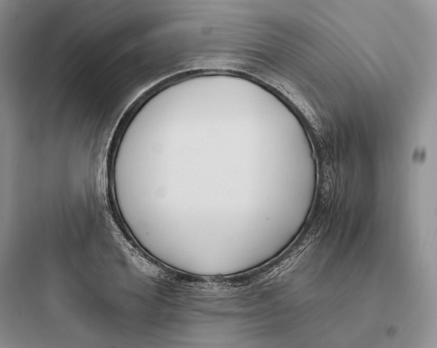 X0000097600980200803211656