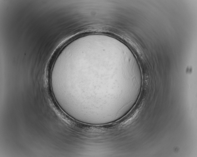 X0000097600981200803211656