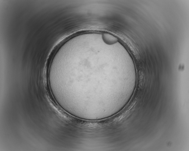 X0000097600982200803211656
