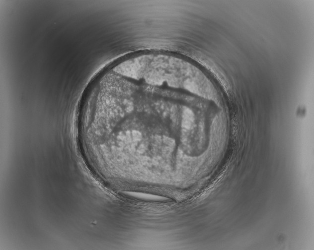 X0000097600983200803211656