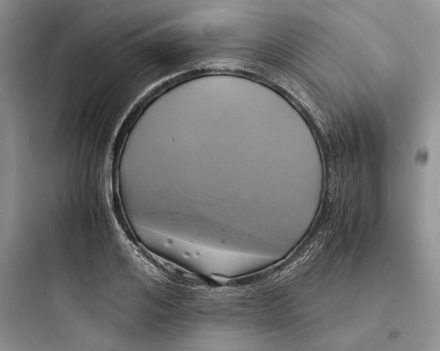 X0000097600984200803211656