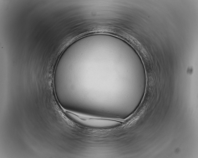 X0000097600985200803211656