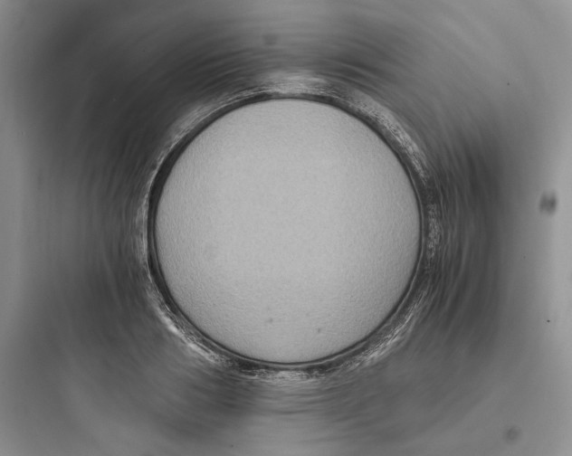 X0000097600986200803211656