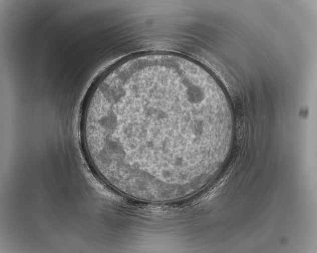 X0000097600987200803211656