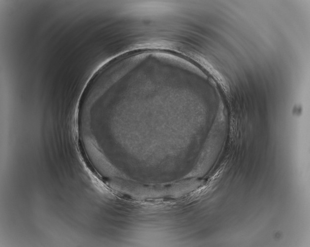 X0000097600988200803211656