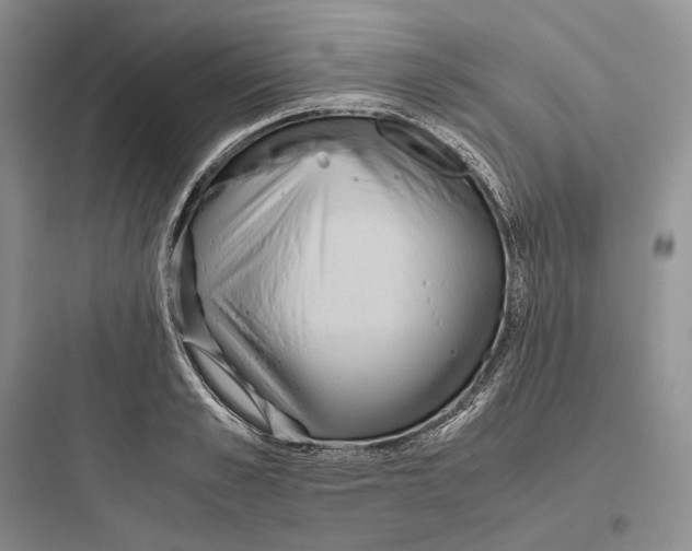 X0000097600989200803211656
