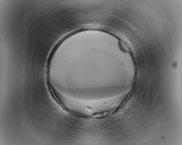 X0000097600992200803211656
