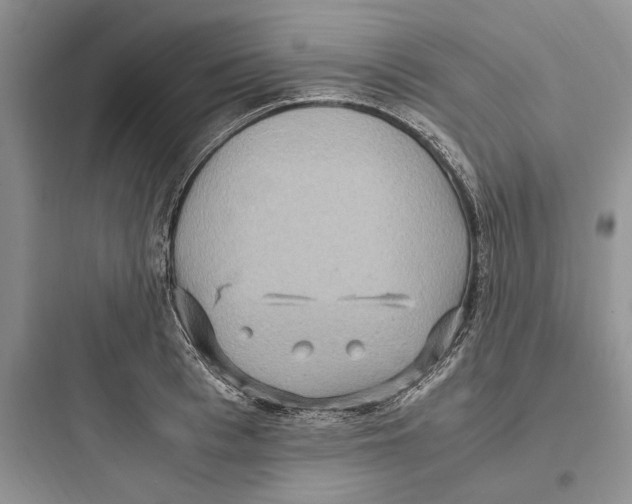 X0000097600993200803211656