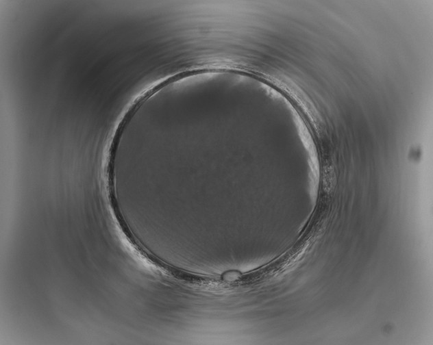 X0000097600995200803211655