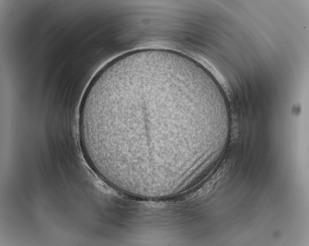 X0000097600996200803211655