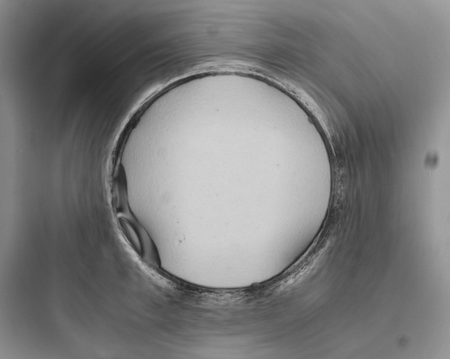 X0000097600997200803211655