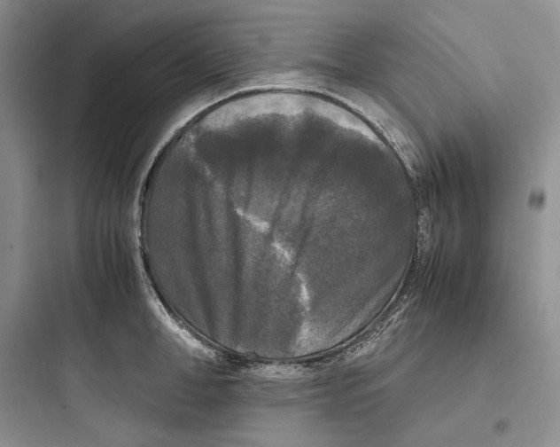 X0000097600998200803211655