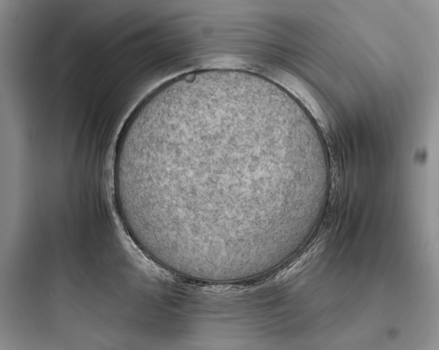 X0000097601000200803211655