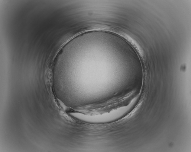 X0000097601001200803211655