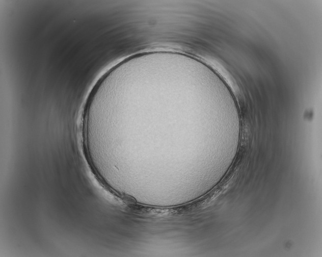 X0000097601003200803211655