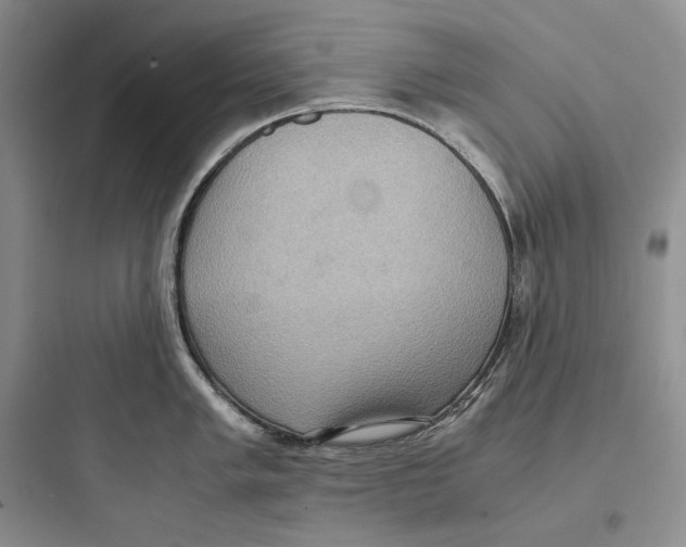 X0000097601005200803211655