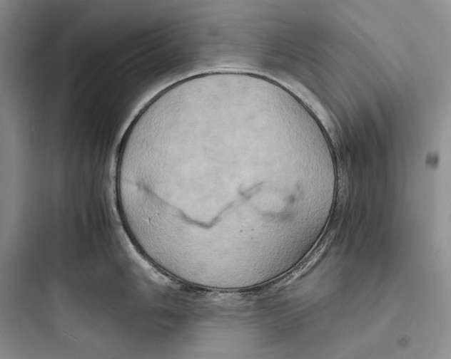 X0000097601006200803211655