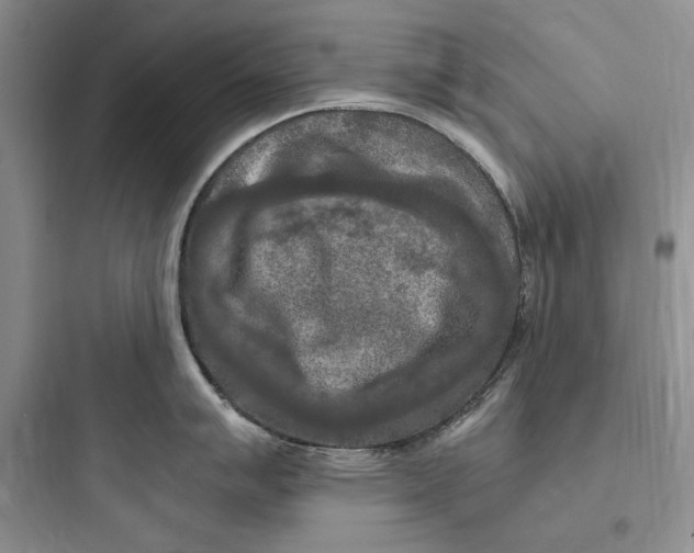 X0000097601007200803211655