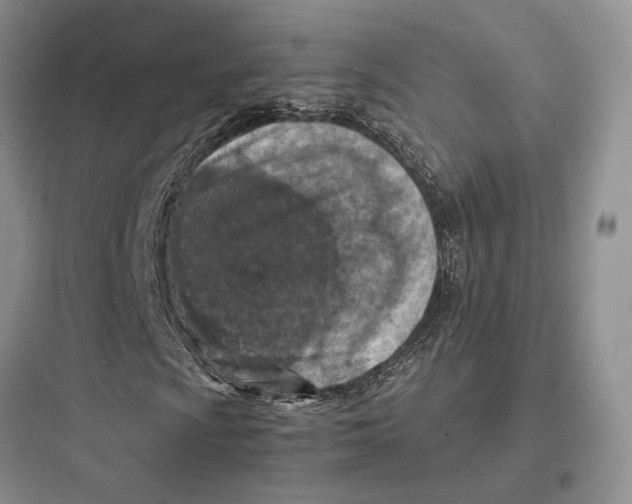 X0000097601009200803211654