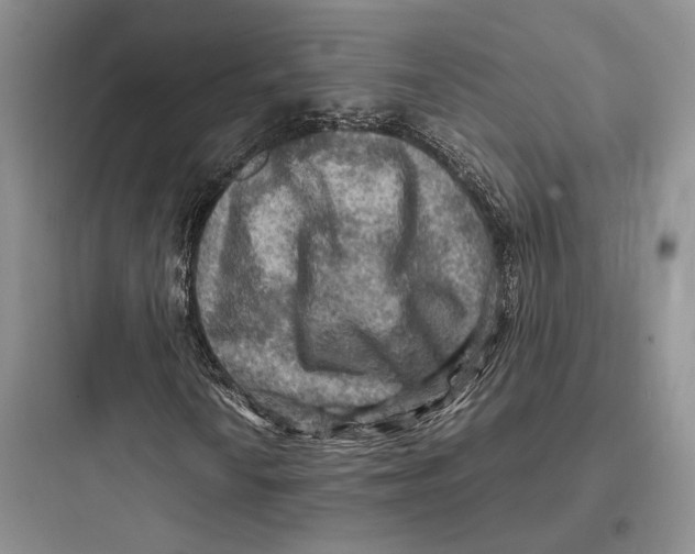 X0000097601010200803211654