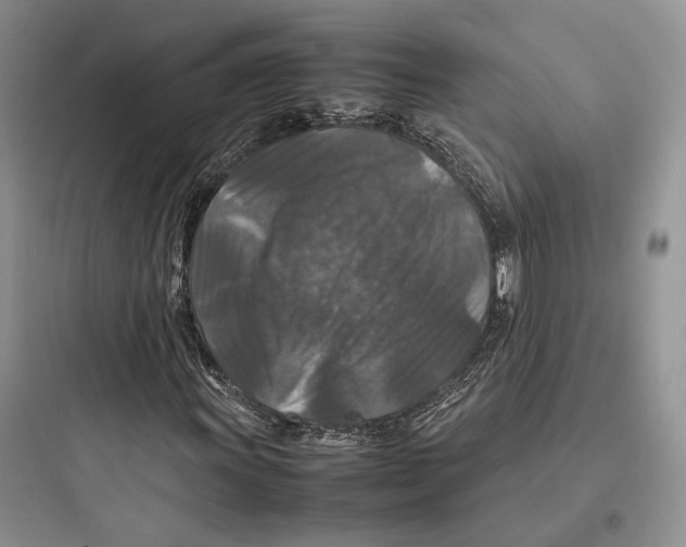 X0000097601011200803211654