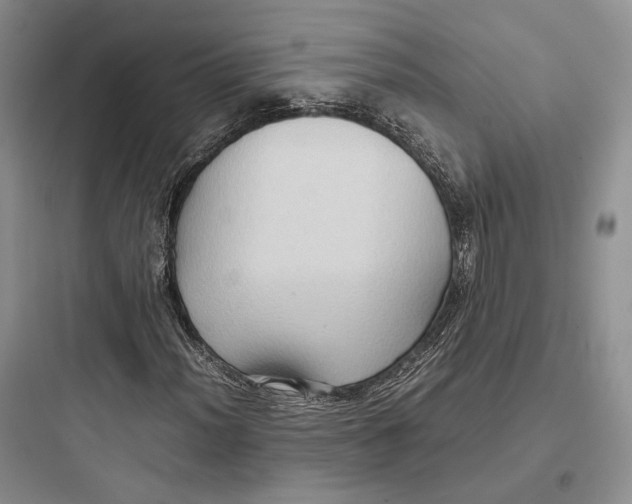 X0000097601012200803211655