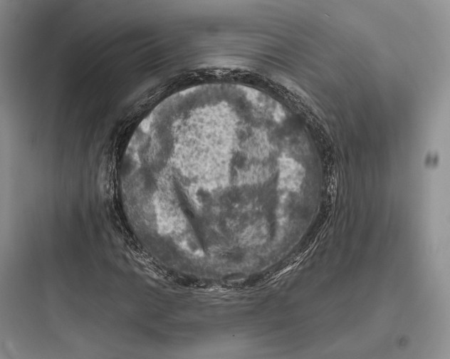 X0000097601014200803211655