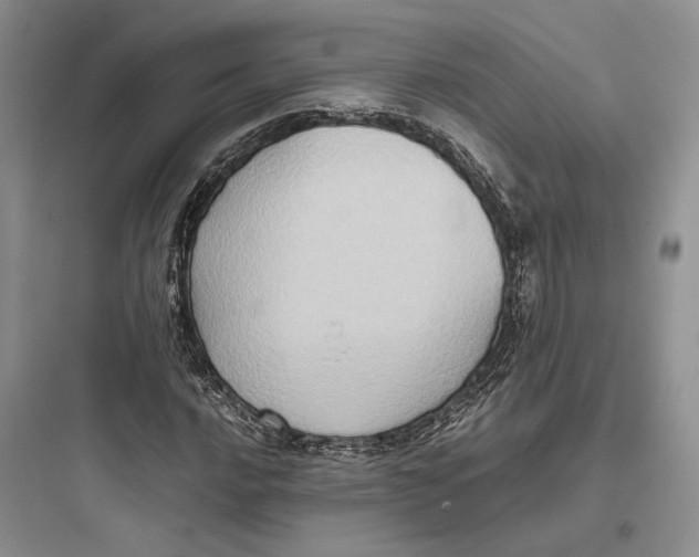 X0000097601016200803211655